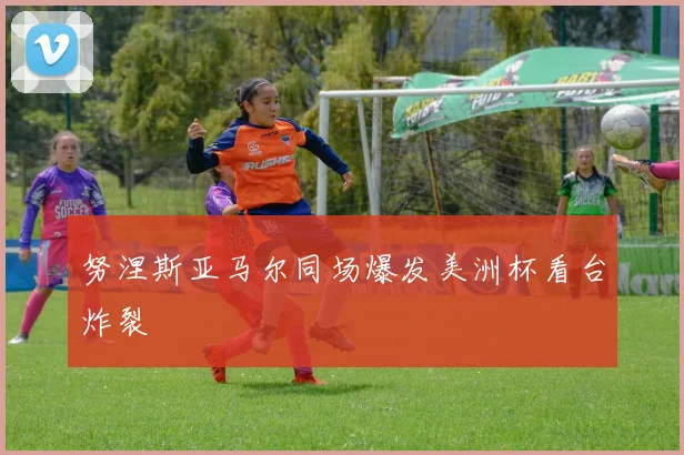 努涅斯亚马尔同场爆发美洲杯看台炸裂