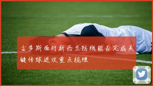 古多斯面对新西兰防线能否完成关键传球进攻重点梳理