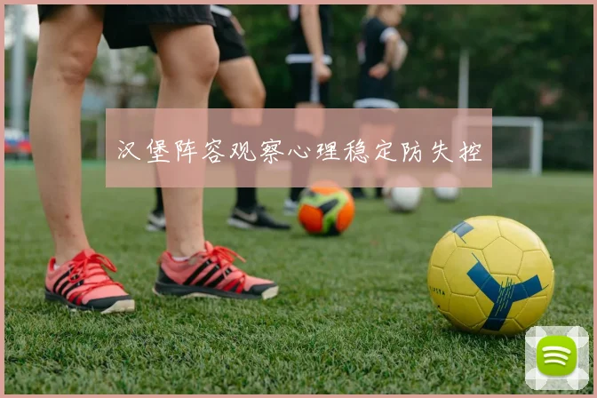 汉堡阵容观察心理稳定防失控